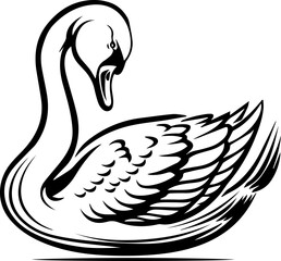 Black and white swan vector illustration