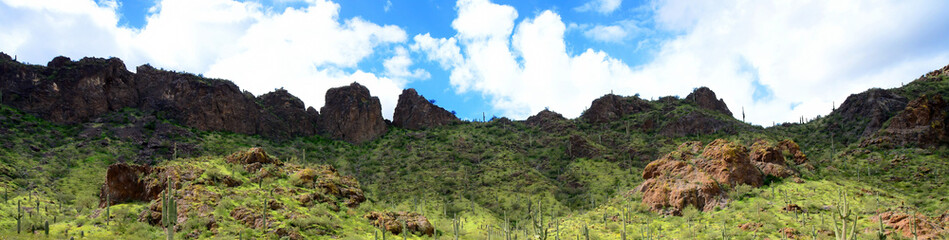 Sonora Desert Arizona Picacho Peak State Park