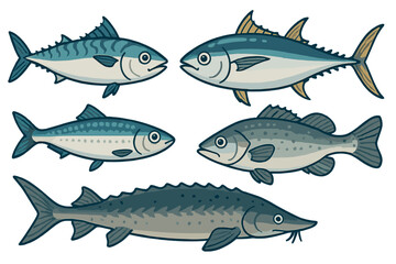 Vector icon showing various types of fish including tuna, mackerel, sturgeon, and others in a colorful design suitable for educational use