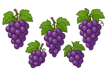 Purple grape vector icon design featuring clusters with green leaves for fruit illustrations and food graphics