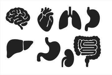 Vector icons illustrating human organs including brain, heart, lungs, stomach, liver, kidneys, and intestines for educational purposes