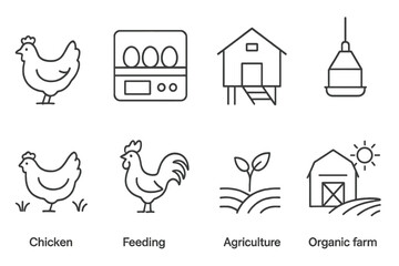 Vector icon representing chicken farming, feeding practices, and sustainable agriculture in an organic farm setting © icon_art