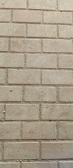 wood texture background