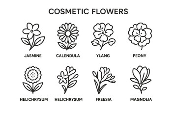 Fototapeta premium Collection of vector icons depicting various cosmetic flowers like jasmine, calendula, ylang, and peony for graphic design use