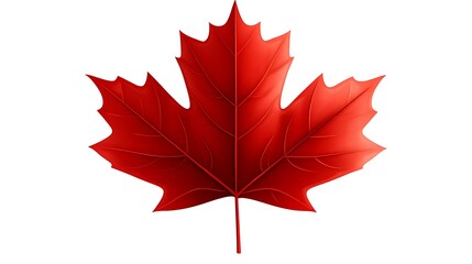 Naklejka premium Vivid red leaf isolated on white background for design elements