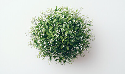 Lush Green Plant Cluster
