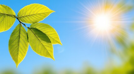 Sunlight Glimmering Through Fresh Green Leaves on a Bright Day
