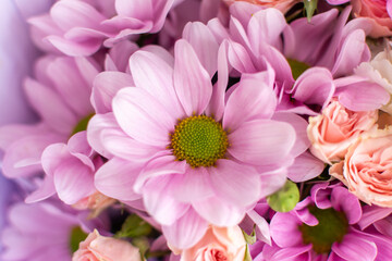 A delicate background of various colors. Spring background for March 8