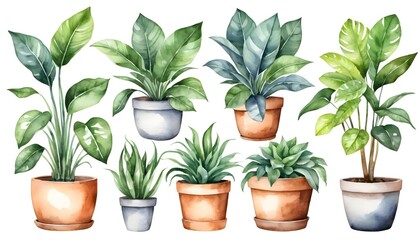 Fototapeta premium Watercolor Collection of Houseplants in Pots