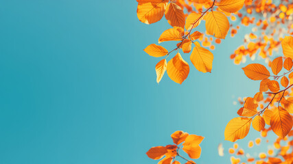 Golden orange leaves with space for text against a blue sky, ideal for Thanksgiving, fall sales, or seasonal banners.