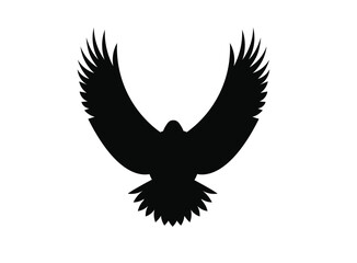 eagle in flight
