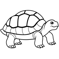 Tortoise Outline Vector Graphic