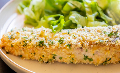 Close-up of a baked breaded salmon fillet served with a simple green salad in a dish. The salmon has a golden, crispy crust and is paired with fresh greens
