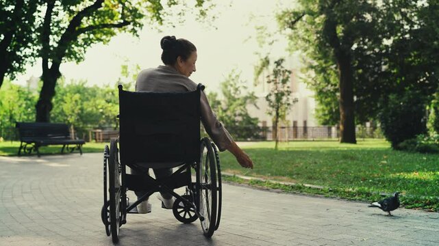 Senior woman in wheelchair enjoying time in park, living life with disability
