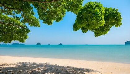 Tropical Beach Paradise Under Lush Tree Canopy