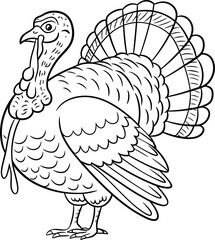 Thanksgiving Turkey Line Drawing Vector – Hand-Drawn Holiday Bird Illustration