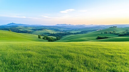 Fototapeta premium Lush green fields stretch across rolling hills under a serene sky, hinting at a tranquil countryside