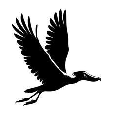 Fototapeta premium Majestic Bird in Flight: A Stunning Black and White Silhouette