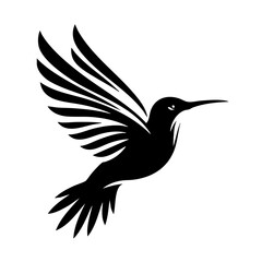 Obraz premium Hummingbird in Flight: Black and White Vector Art