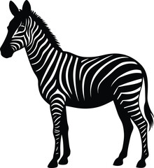silhouette of a zebra standing still on white background