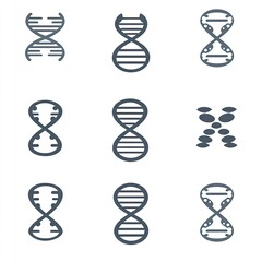 Dna Strand Variations