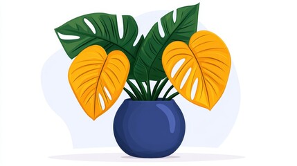 Obraz premium Tropical Monstera Plant with Bright Yellow Leaves in Blue Pot
