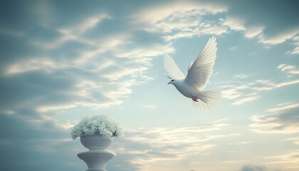 sky funeral background with white dove, copy space for text
