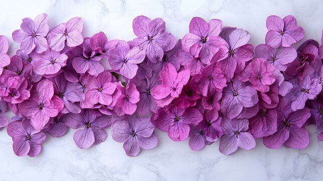 Beautiful purple hydrangea flowers on marble background lovely floral design perfect for springtime