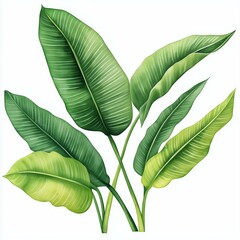 Obraz premium Vibrant green tropical leaves showcasing nature's beauty and richness.