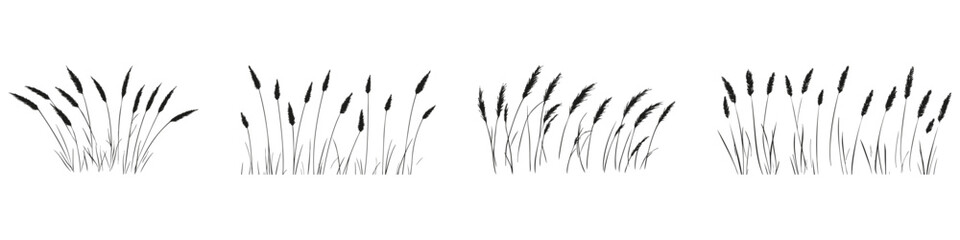 Silhouette Of Grass And Reed Plants Set. Natural Elements For Design And Decoration. Isolated Vector Illustration Collection