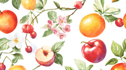 Summer fruit white background