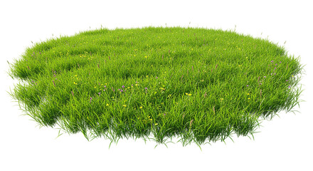 Circular patch of green grass isolated on transparent background, ideal for landscaping mockups, garden design illustrations, eco product branding, and nature-friendly digital content