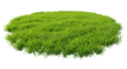 Circular patch of green grass isolated on transparent background, ideal for landscaping mockups, garden design illustrations, eco product branding, and nature-friendly digital content