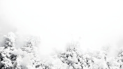 Winter wonderland scene pure white background nature imagery tranquil environment minimalist view