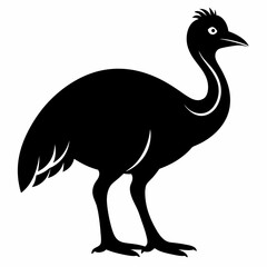 Bold Cassowary Silhouette Vector