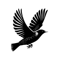 Fototapeta premium Majestic Bird in Flight: A Black and White Silhouette