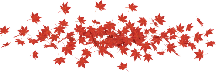 Autumn Red Maple Leaves Falling Seasonal Nature Background Fall Foliage