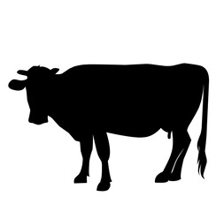 Cow black silhouette. Bull symbol. Beef silhouette. Farm animal icon isolated on white background.Cow Icons, Ideal for Agriculture and Farm Themes - Flat Vector Illustration