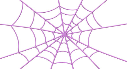 Isolated Spider Web