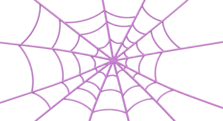 Isolated Spider Web