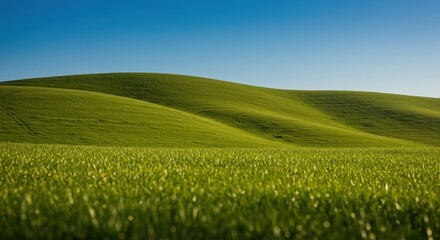 Fototapeta premium Rolling Green Hills and Blue Sky - Photo