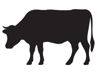 COW SILHOUETTE WHITE BACKGROUND