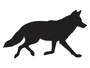  COYOTE SILHOUETTE WHITE BACKGROUND