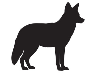  COYOTE SILHOUETTE WHITE BACKGROUND