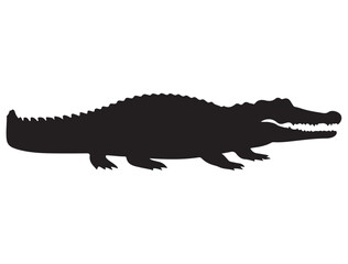 CROCODILE SILHOUETTE WHITE BACKGROUND