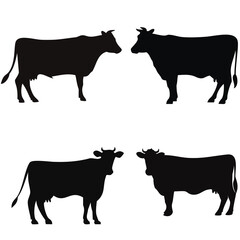 Cow Turning Head Back Silhouette Vector Bundle Set