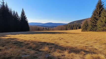 Serene autumnal mountain meadow landscape with golden grass and distant trees sky view blue calm