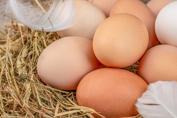 Raw Organic eggs in a nest on a straw pillow. top view