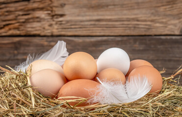 Nest of colorful fresh eggs on wooden background in an organic farm. copy space