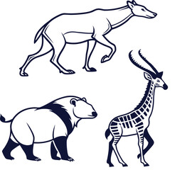 animal vector  set illustration collection